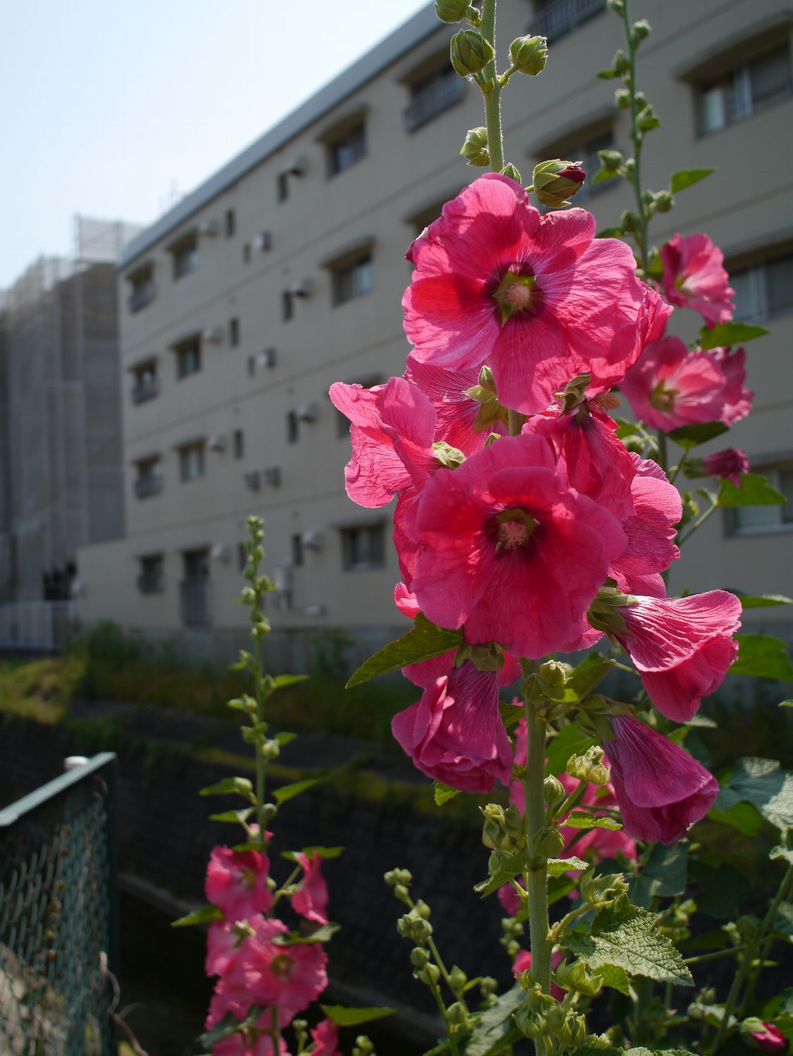 b0069128_9224644.jpg