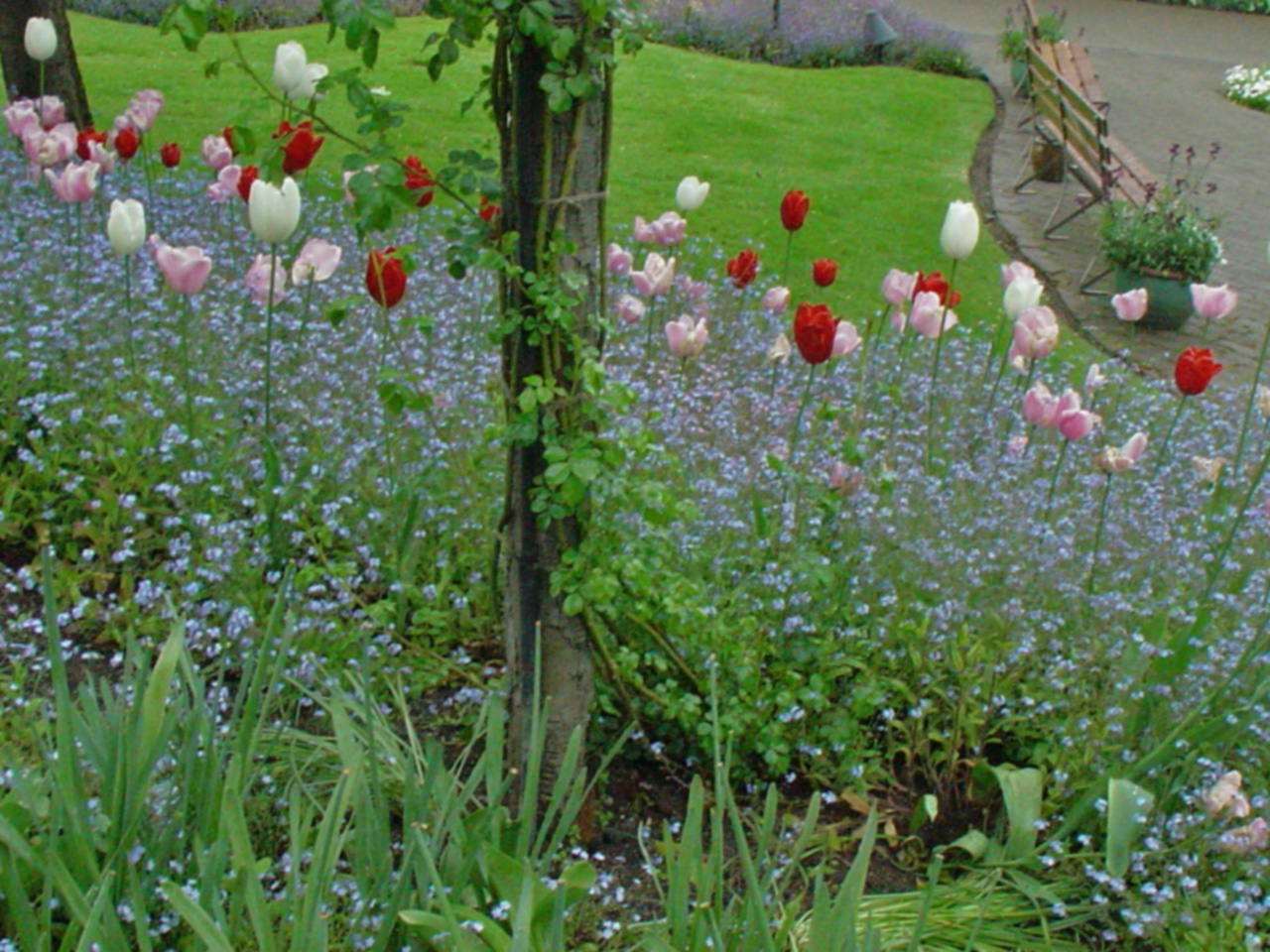 f0249630_23213116.jpg