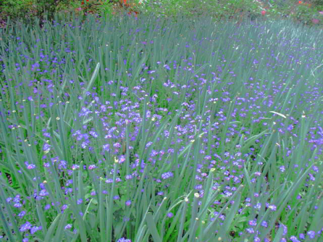 f0249630_23215670.jpg