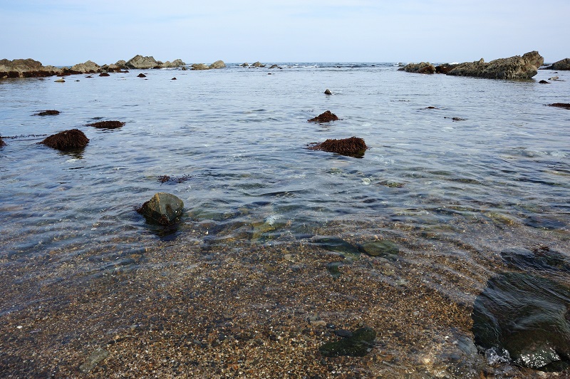 静かなる海ー引き潮の時 Mako S Photo