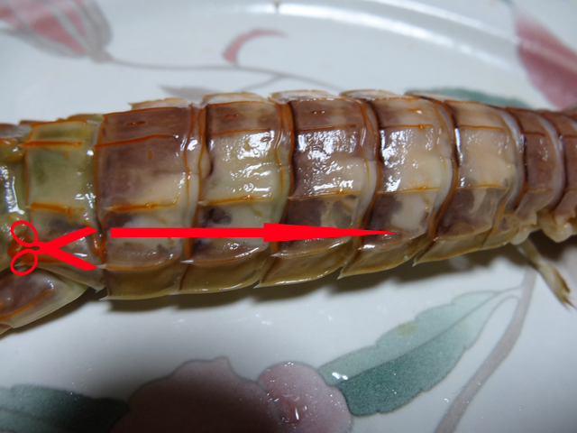 シャコ（蝦蛄）の食べ方 : ひねもすのたりの日常＆時々非日常