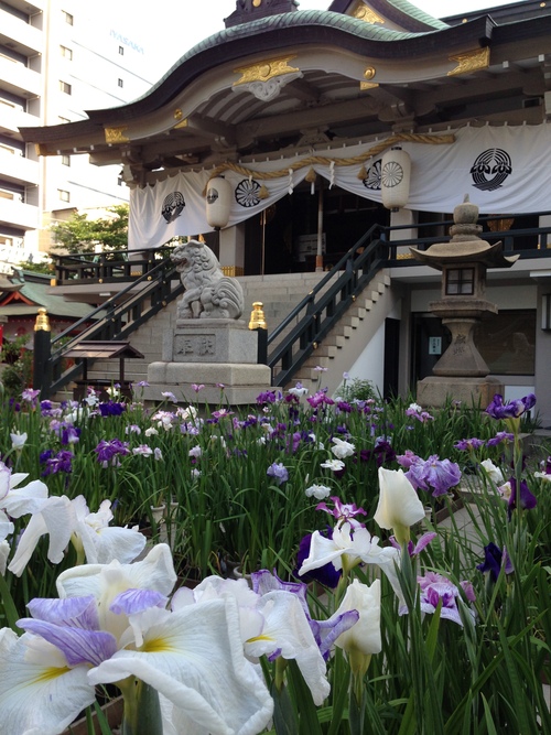 難波神社結婚式と御霊神社へ_d0091733_2104396.jpg