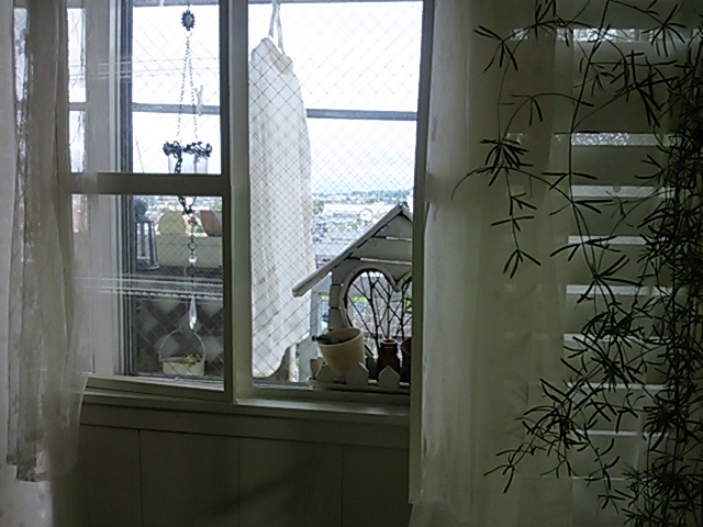 a0211435_19311299.jpg