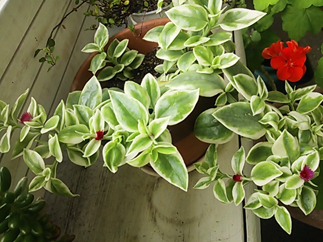 a0211435_19335395.jpg