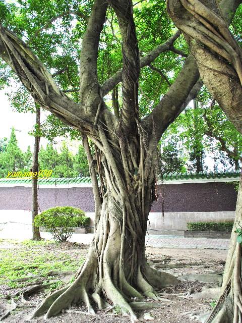 c0225536_7595397.jpg