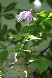 e0212037_223410.jpg