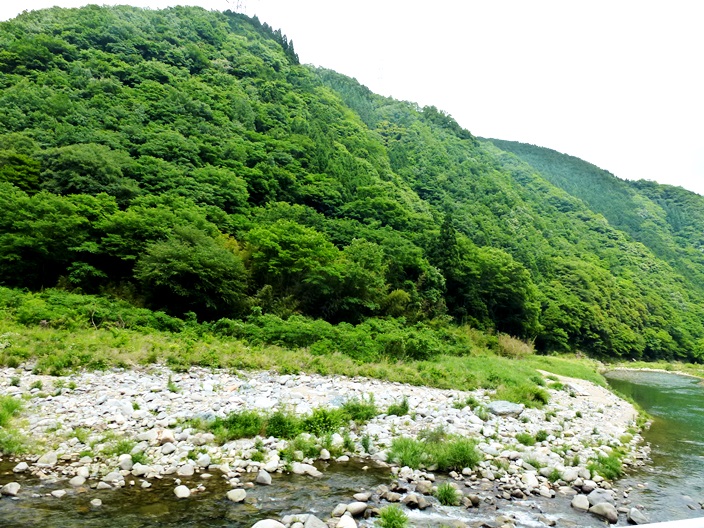 b0204547_19595556.jpg