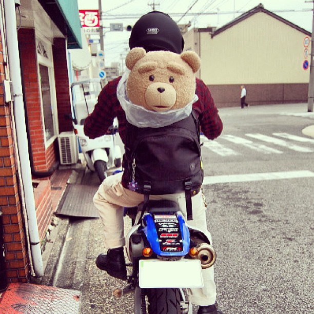 通販 激安 等身大 TED クリアファイル