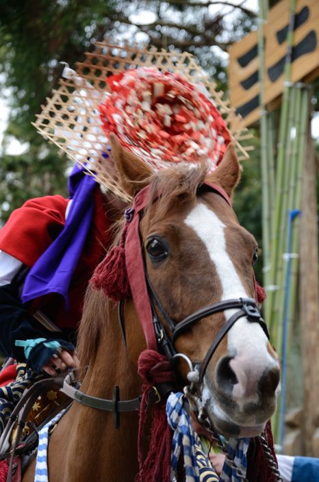 20130504 やんさんま 下村加茂神社 流鏑馬式 4/5_a0263952_13133916.jpg