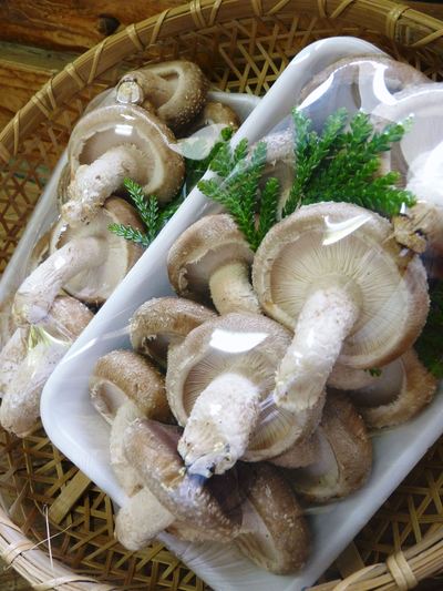 原木しいたけ 最旬!夏限定の「原木“生”しいたけ」の2つの発生操作 その1_a0254656_1855471.jpg