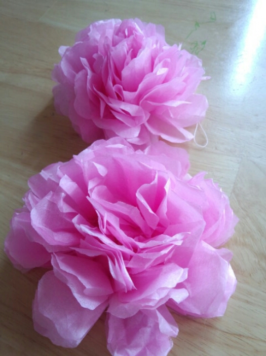 紙花作り Sara Ra 紙花作り Sara Ra