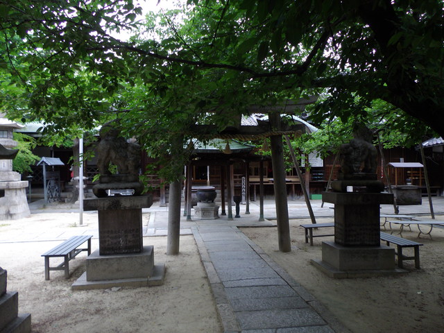 pitipiti登山部~阿倍野区南端で命令形~_c0001670_2010617.jpg