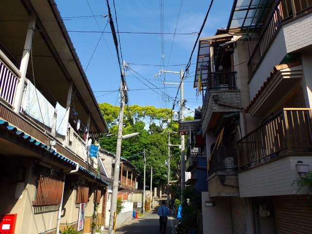pitipiti登山部~阿倍野区南端で命令形~_c0001670_2065750.jpg