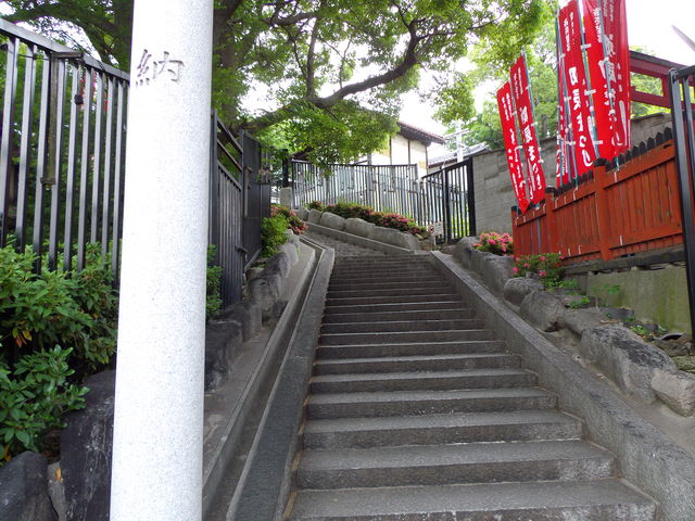 pitipiti登山部~阿倍野区南端で命令形~_c0001670_20669.jpg