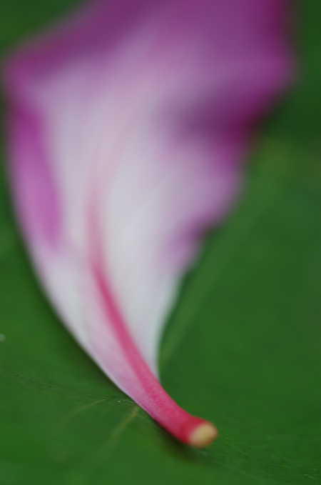 b0159790_90724.jpg