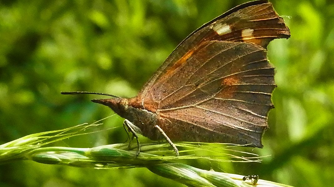 a0152692_17452124.jpg