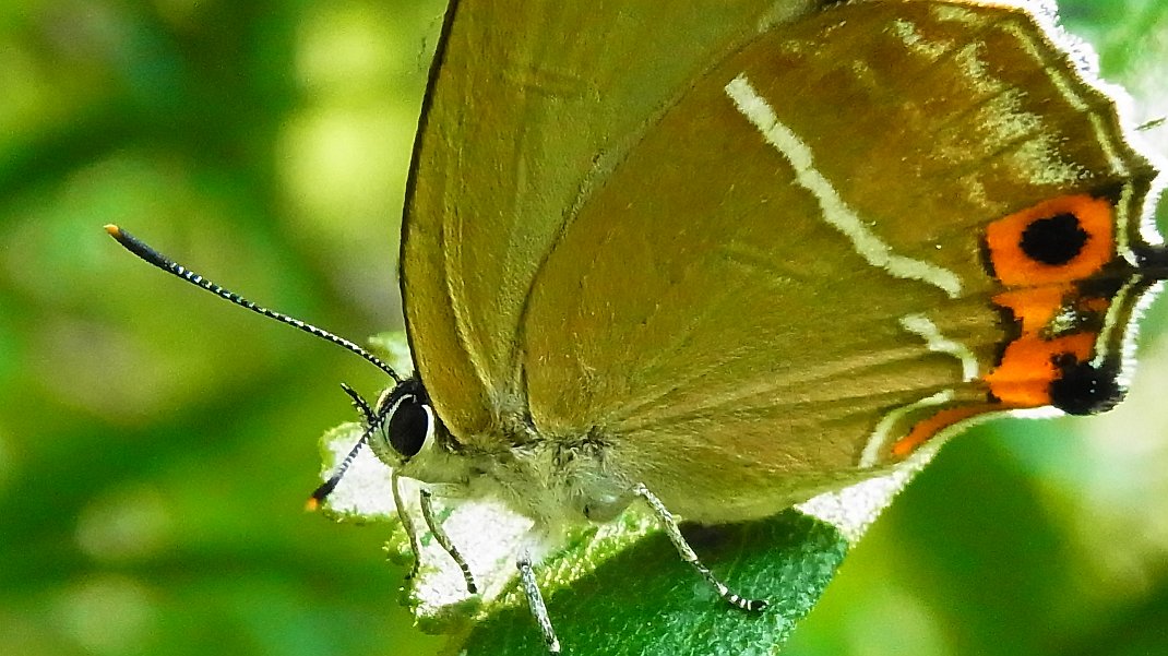 a0152692_17584221.jpg