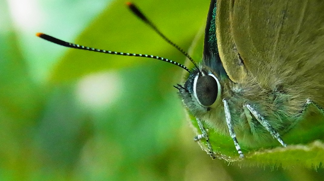 a0152692_17593065.jpg