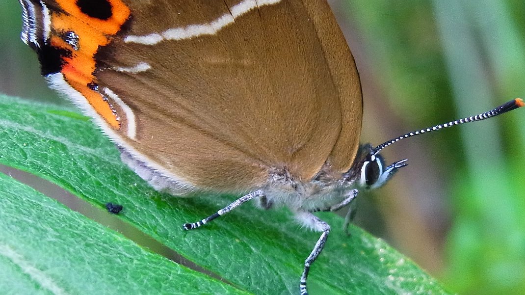 a0152692_1802685.jpg
