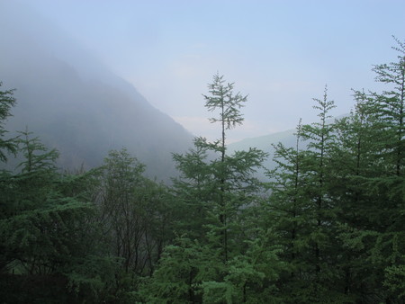 朝霧_e0120896_634075.jpg
