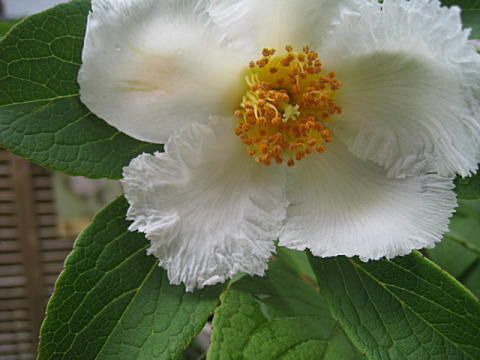 d0046702_9291072.jpg