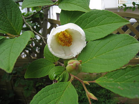 d0046702_9293332.jpg