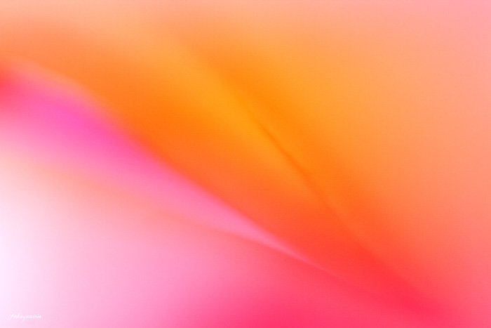 f0185802_1762420.jpg