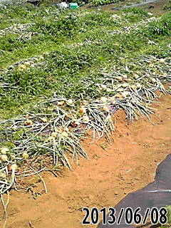 e0270403_85763.jpg