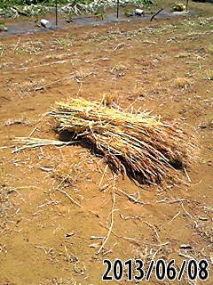 e0270403_865758.jpg