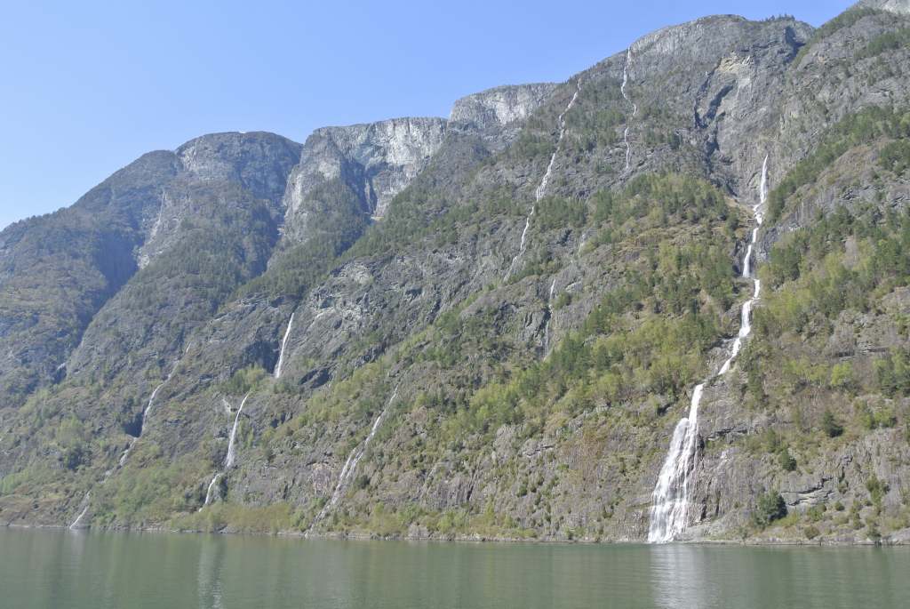 a0148206_202862.jpg