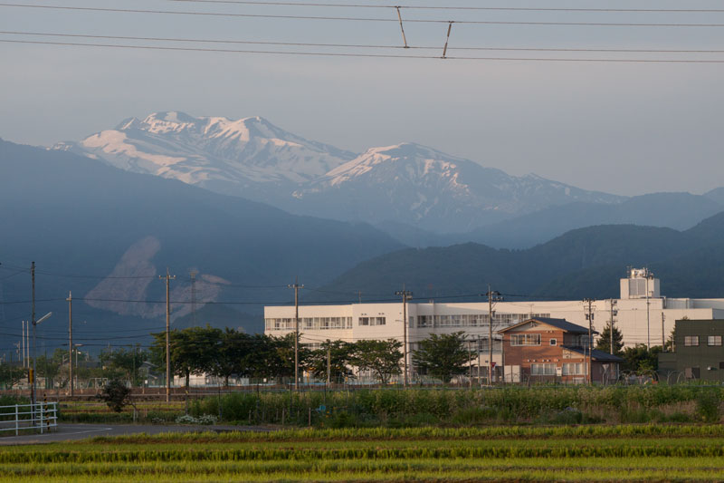 a0278914_8503279.jpg