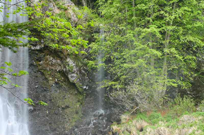 e0284019_21966.jpg