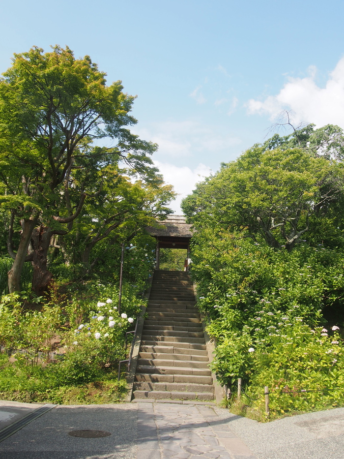 2013 6月　鎌倉(1) 東慶寺〜浄智寺_f0062122_8371093.jpg