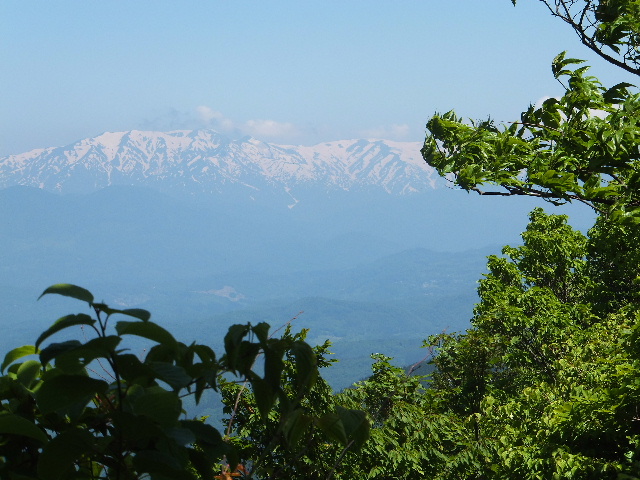 気になる山、飯谷山に登る_c0141223_202441.jpg