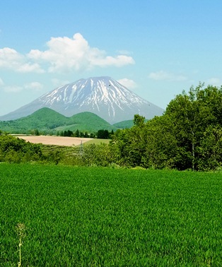 c0204725_1243458.jpg