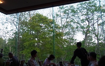 c0204725_1265174.jpg