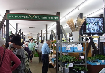 c0204725_139198.jpg