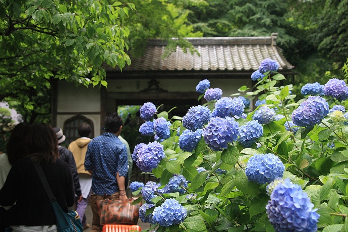 風・・・いや、風邪に吹かれて箱根稜線歩き　その３_c0196928_7374150.jpg