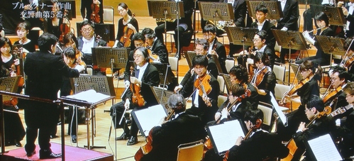 d0170835_873231.jpg