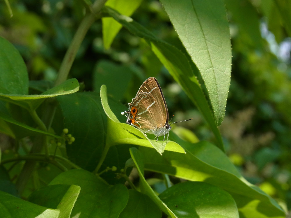 c0306638_17412760.jpg