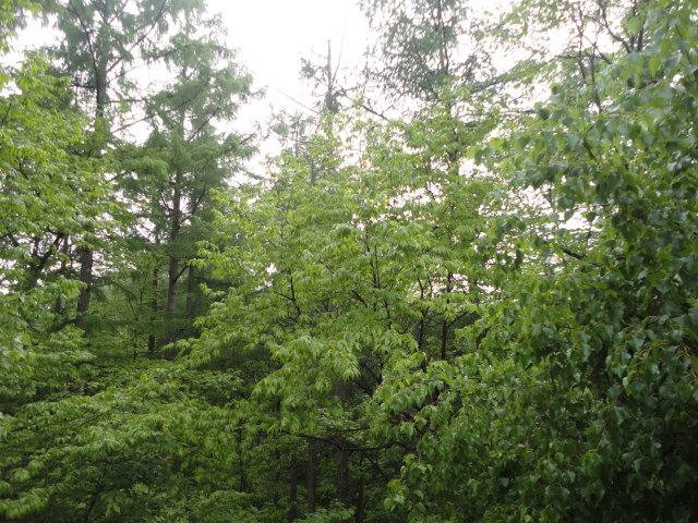 a0116439_21255922.jpg