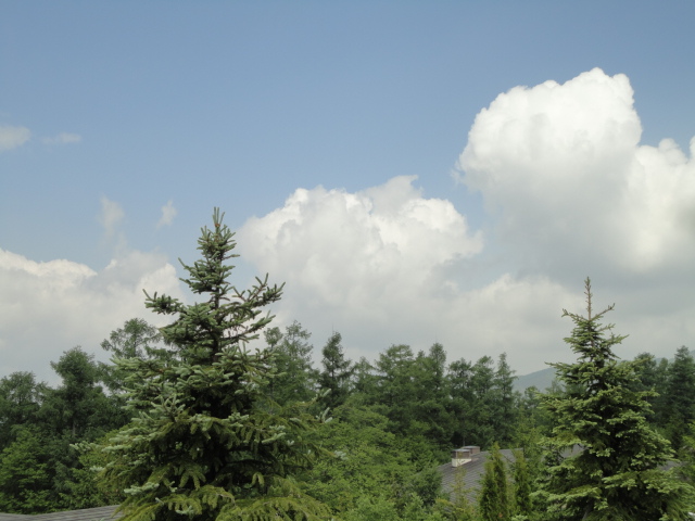 a0116439_21261154.jpg