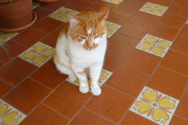 d0170140_012892.jpg