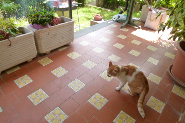 d0170140_0193956.jpg