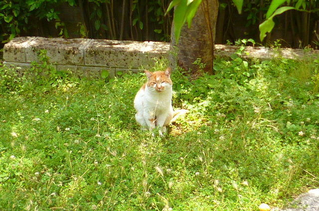 d0170140_021315.jpg
