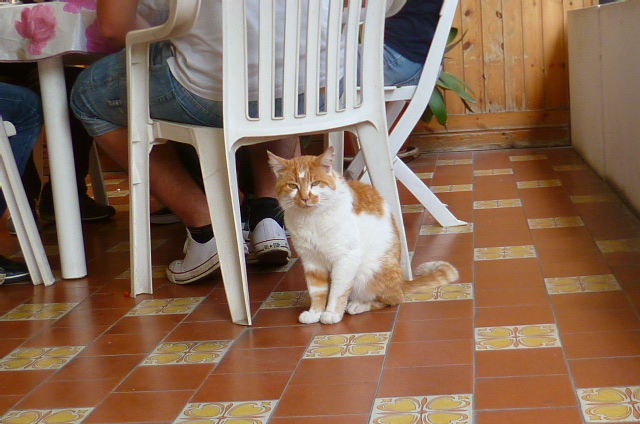 d0170140_026043.jpg