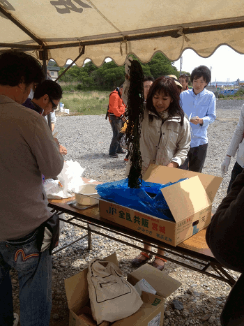 a0026445_22483896.gif