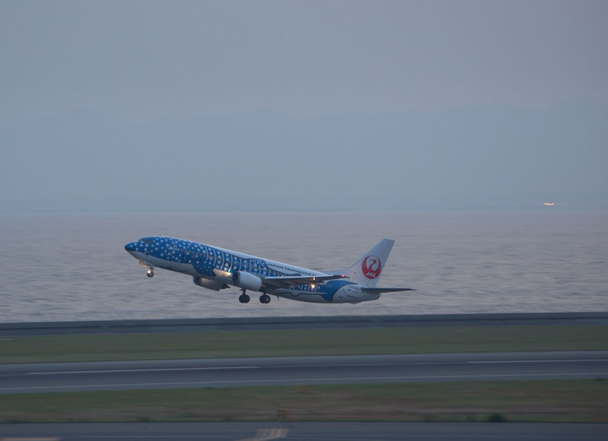 a0055650_81923.jpg