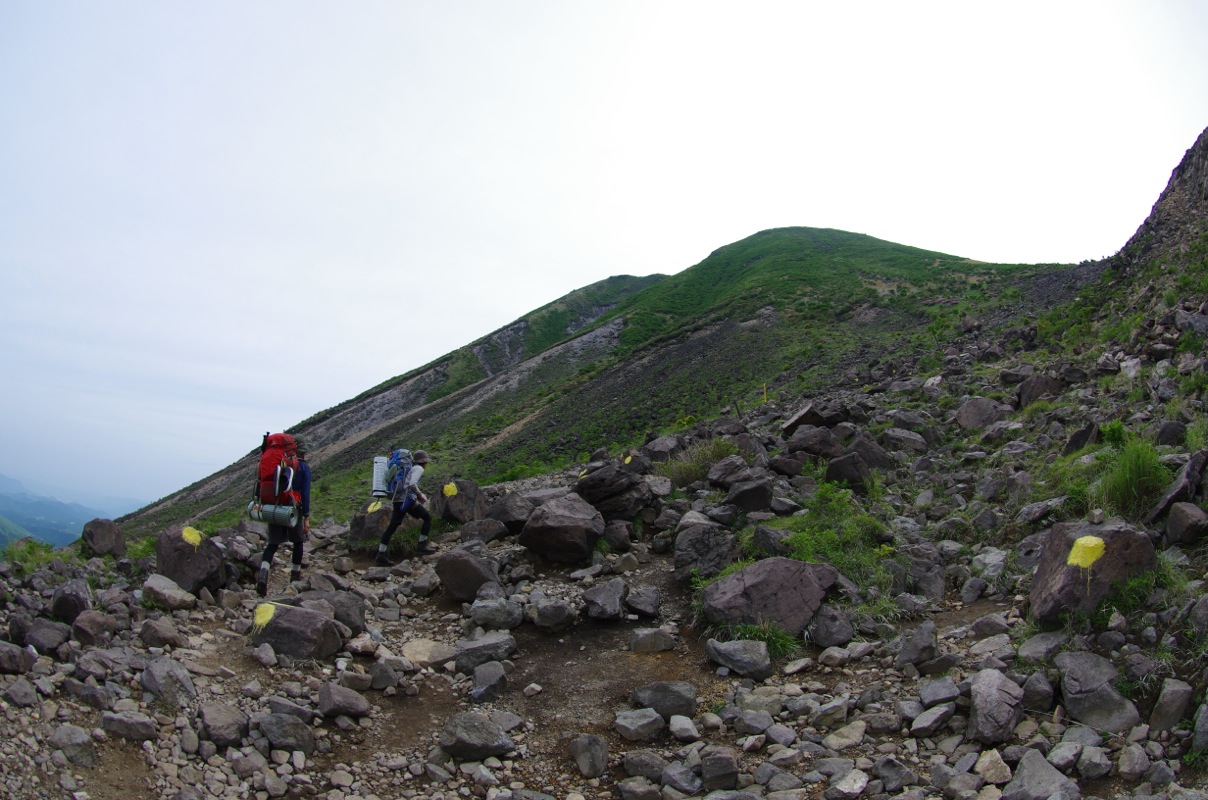  久住ミヤマキリシマ詣で２０１３_a0009554_2221487.jpg