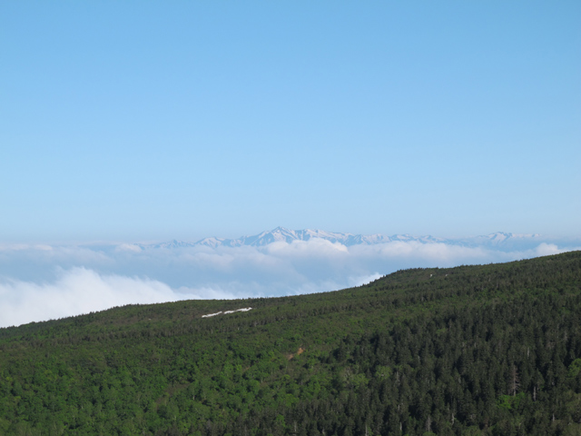 6月9日　南蔵王（刈田峠～不忘山）_c0116856_2235639.jpg